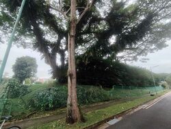 Bright Hill Drive (D20), Terrace #480808731